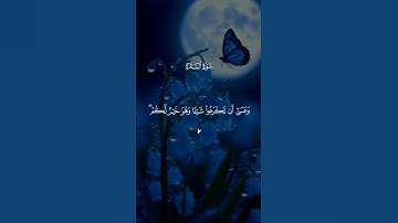 قرآن كريم راحة نفسية 🤍🎧 متابعة للصفحة فضلاً 🥰🤍 #قرآن #قران_كريم