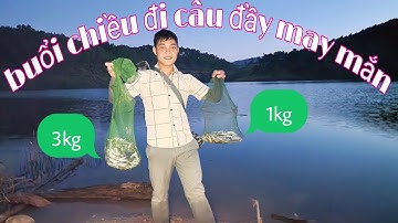 Cuối tuần lên hồ câu cá mương dính quá đã, câu cá mương bằng thẻo rọ 7 lưỡi | nhật ký cuộc sống