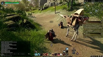 Ashes of Creation: How to Crate Run