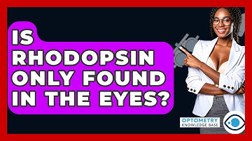 Is Rhodopsin Only Found In The Eyes? - Optometry Knowledge Base