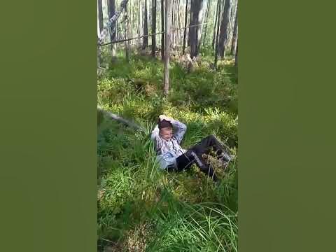 Кавалерка ви ходите в ягоди - YouTube