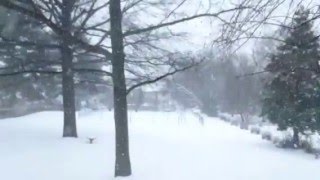 Time Lapse Snowzilla 2016
