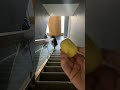 What just happened