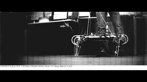 NTUA Quadruped Robot Pronking.avi