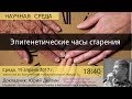 Юрий Дейгин &quot;Эпигенетические часы старения&quot;