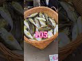 #卖鱼 #fishing #漁民 #打渔 #fish #大魚 #seafood #撈底 #food #撈撈