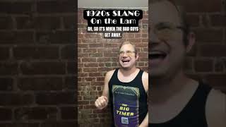 #1920s Slang On The Lam #funfacts #funnyfacts #authortube #booktube #lgbtq #lgbtqbooks #queer