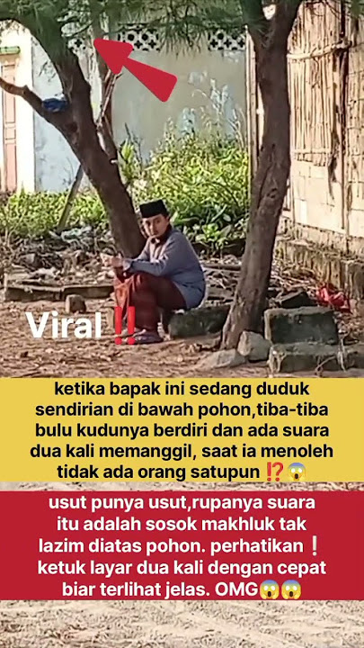 bapak ini tidak tahu kalau suara itu di atas pohon #indonesia #viral