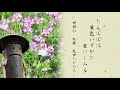 俳句ポストつとむ君　第二十四回　H30年6月・7月