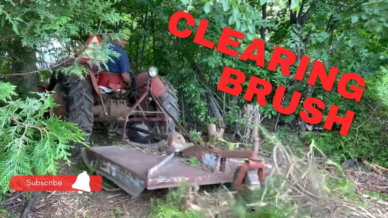 Clearing A Path To The Greenhouse With The Massey 50 and the Bush Hog ...