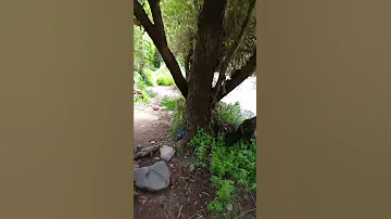 مقطع صغير من وادي بنأ السده اب 