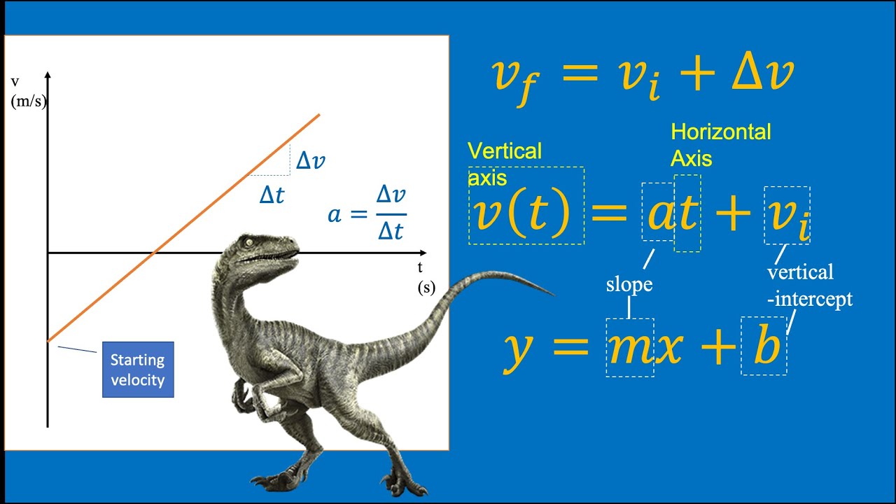 Physics 1: Velocity vs. Time Graphs - YouTube