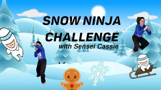 Snow Ninja Challenge with Demonstration - Virtual Winter Martial Arts Workout (Get Active Games) screenshot 4