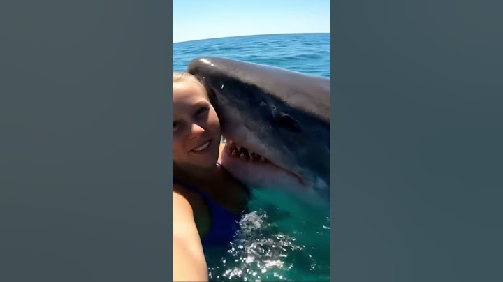 ELLE NAGE AVEC UN REQUIN #shorts #viral