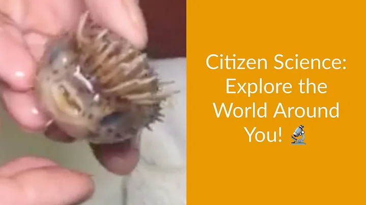 Citizen Science: Get Involved!