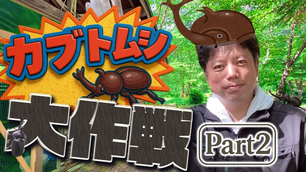 Summer Adventure] The Great Stag Beetle Mission Part 2 | The