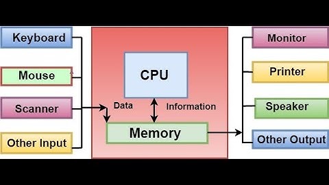 Computer Fundamentals - BSC & BCA - NEP 2020 By Prof. Preeti