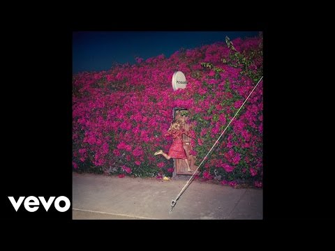 Feist - Pleasure