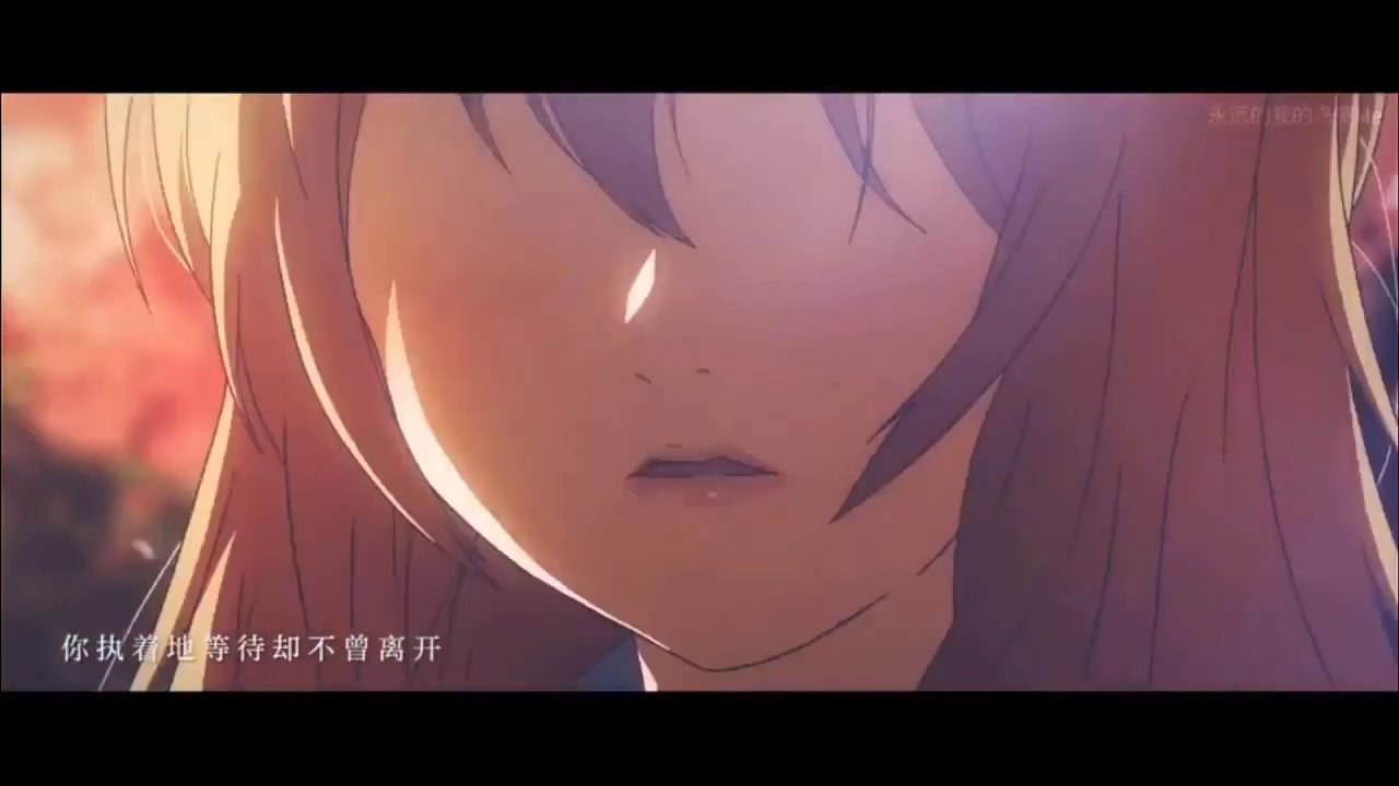 The Beautiful Expectation [AMV]