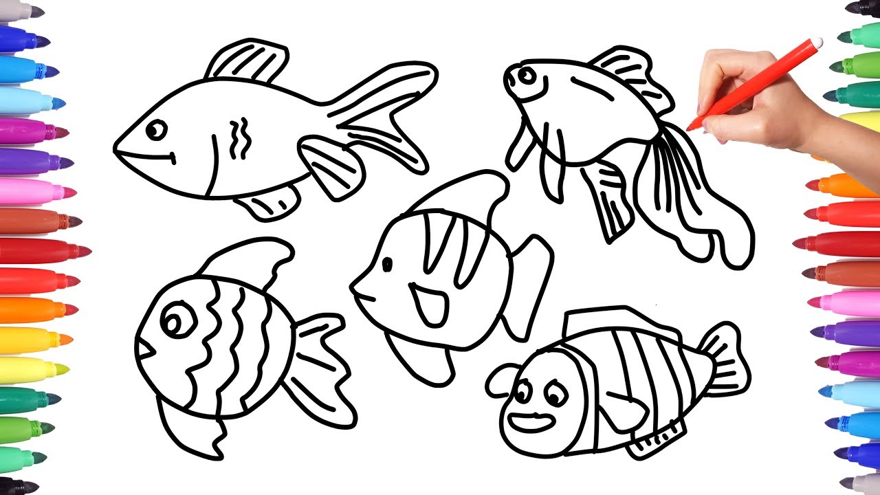 How To Draw Colorful Fishes Coloring Pages Sea Animals Animation Drawing Videos For Kids Youtube
