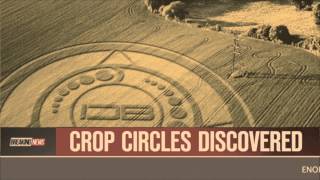 Crop Circles Discovered in Canada  October 2, 2013