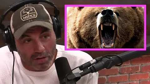 Joe Rogan STUNNED By Bear Attack Story