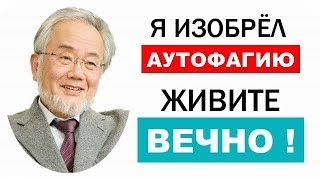 Аутофагия - механизм, увеличивающий продолжительность жизни!