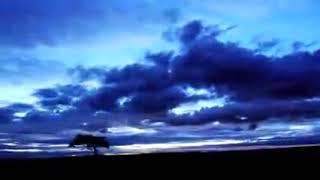 سوره الحج تلاوه قرآنيه رائعه بصوت جميل للقارئ محمد عبدالمسجود أروع أصوات القرءان الكريم ❤