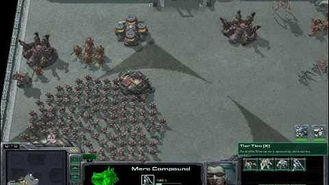 Marine Arena v1.1 Preview