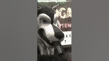 Joe Rogan Has A Confession To Make - JRE