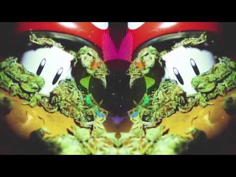 Skrillex & Damian Jr. Gong Marley - Make It Bun Dem (Vagus Remix)