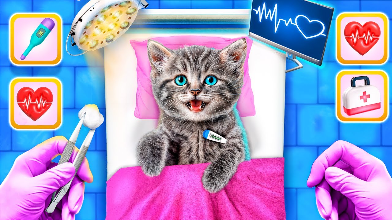how-to-take-care-of-your-pet-smart-gadgets-and-hacks-for-pet-owners