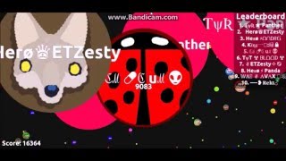 Agar.io 60k+ Score//Trick split//Cannon Split//Vanish Split//Last mam standing