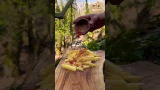 Black Bun Burger in the Wild 🔥🍔 #foodasmr #outdoor #campfirecooking #satisfying #shorts #foodie
