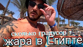 Все купаются в море / Пляж Mаrlin Inn Azur Resort 4 Питание в отеле Хургада 2023 Район Мамша