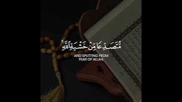 سورة الحشر  القارئ شريف مصطفى