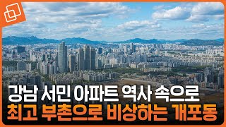 강남의 변방 개포동, 신흥 고급 주거지로 환골탈태