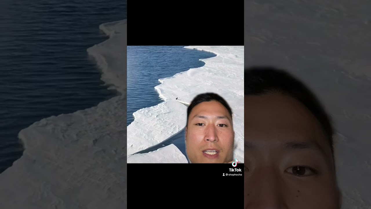 Run Penguin, Run! 🐧