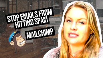 Mailchimp SPF and DKIM Records: How to Set Up a DMARC Policy