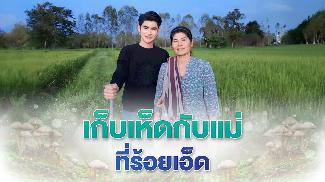 เก็บเห็ดกับแม่ ที่ร้อยเอ็ด