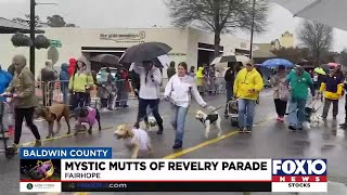 Dogs, owners strut their stuff in Mystic Mutts of Revelry Parade in Fairhope