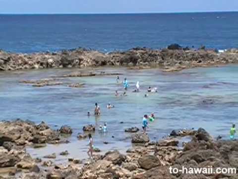 oahu beaches pupukea beach park oahu beaches pupukea beach park