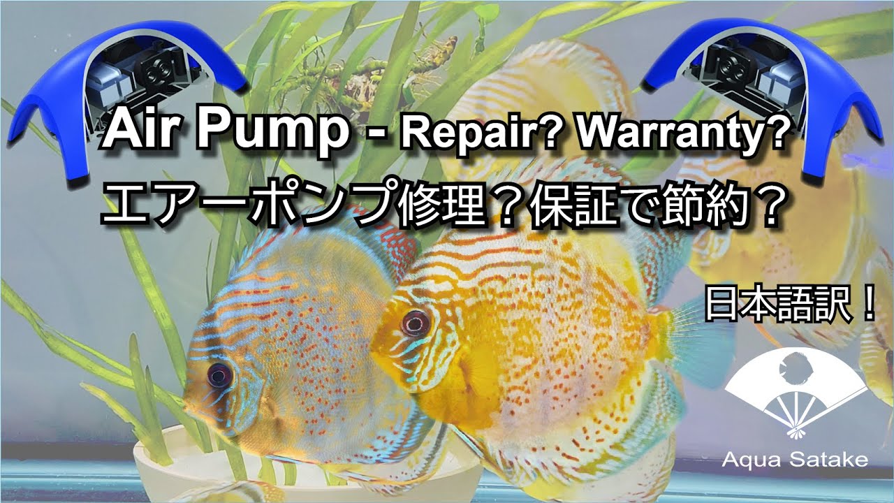 Save on Broken Air Pump ! エアーポンプ修理・保証で節約！ YouTube