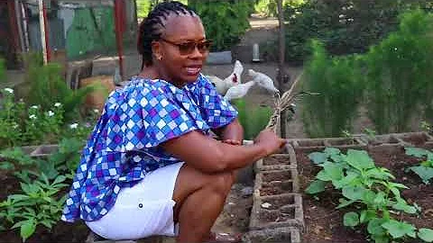 QUEENDOM GARDEN TOUR GROWING WHAT I EAT  | LIBERIA...