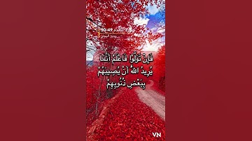 سورة المائده الايه 49-50