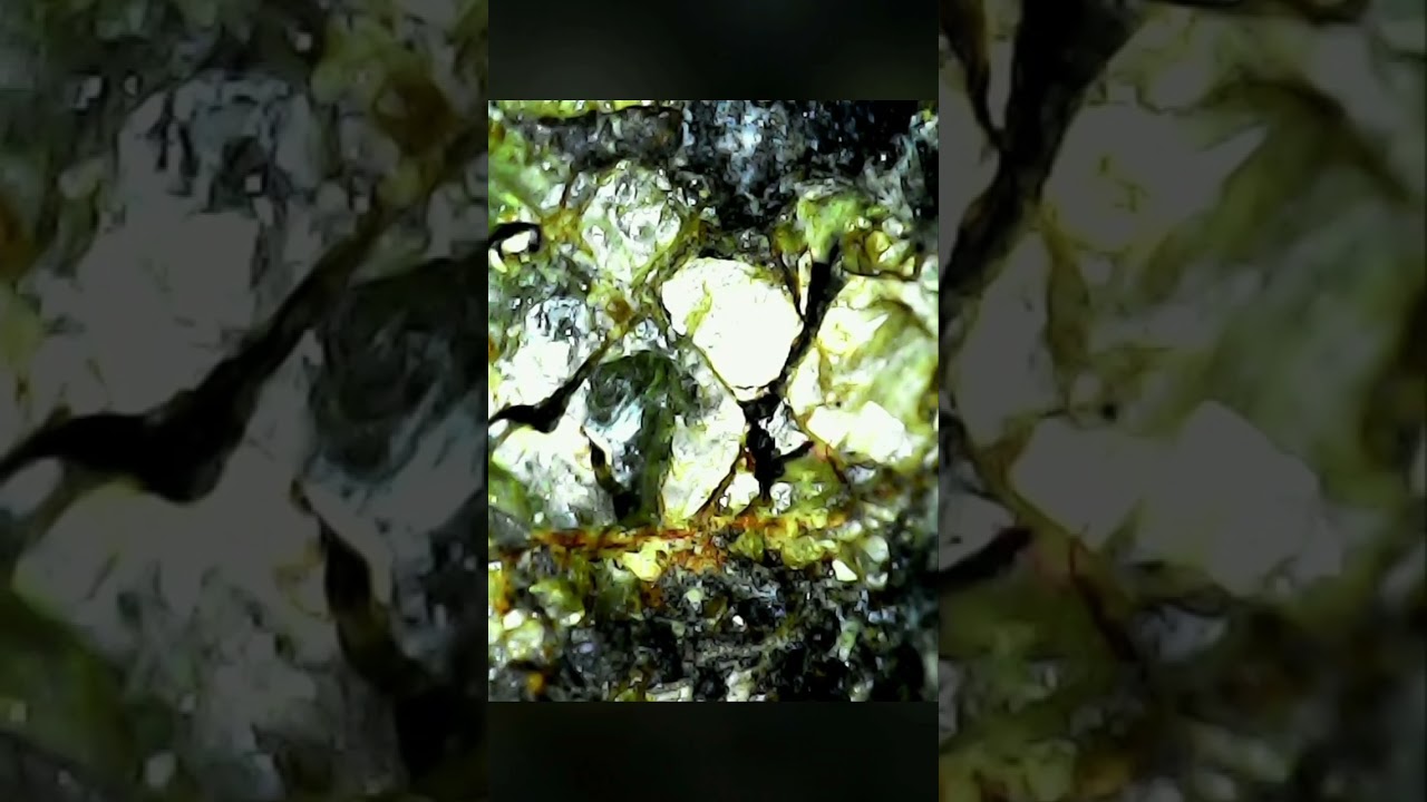 달운석의 내부현미경 영상.  감람석과. 검은줄문양들은 용융각이 남아있는흔적들이니다