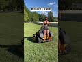 Bumpy lawnneeds leveling mitchellslawncarellc girzcanmow2