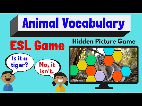 Pets In English, Guessing Game