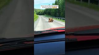 These Kind-Hearted People Saved A Moose 