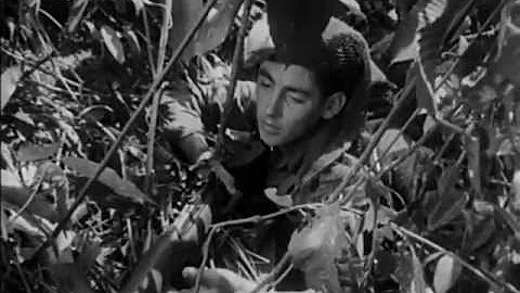 The Royal Marines at War: Jungle Mariners